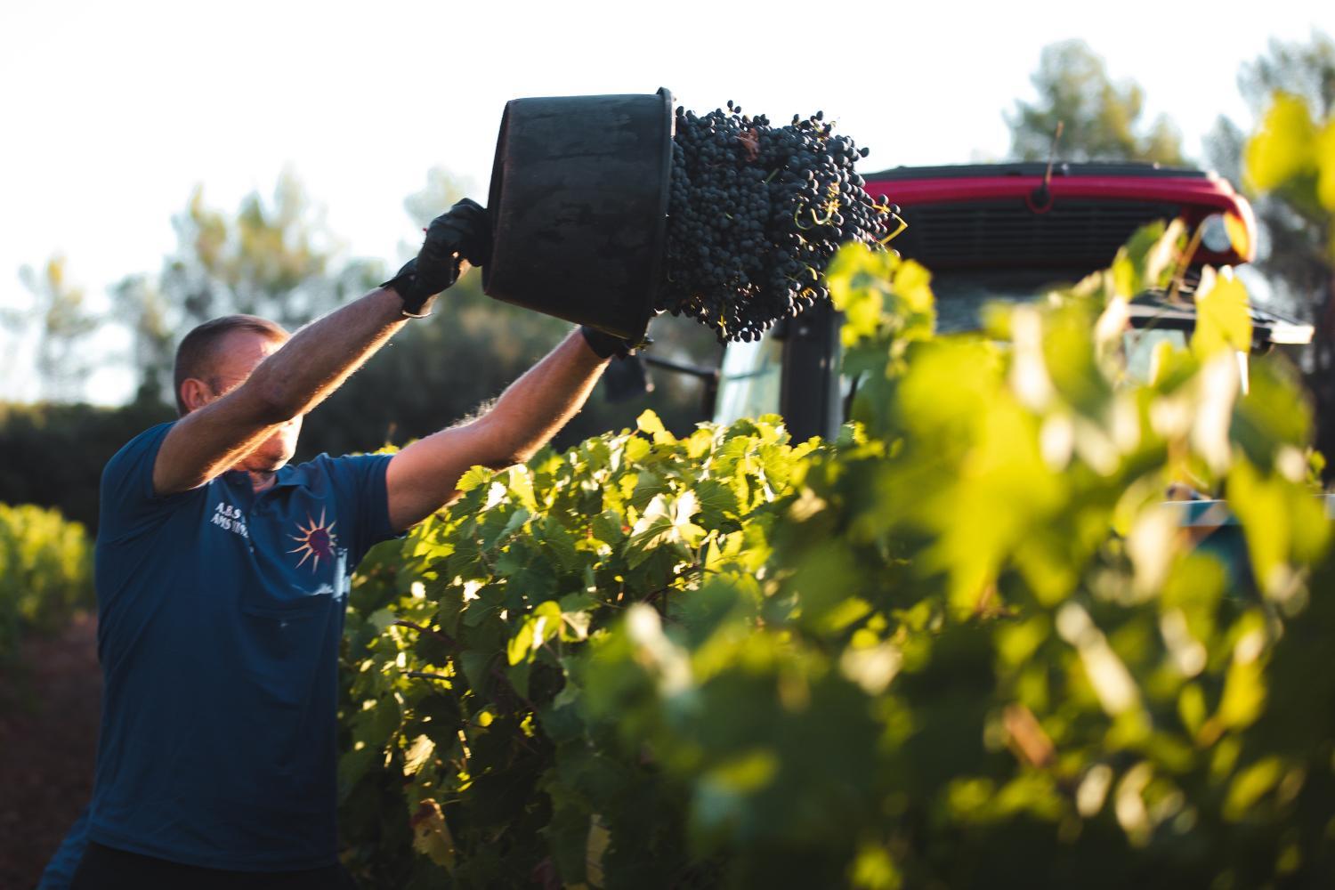 Winery Hotel - Château de Berne3