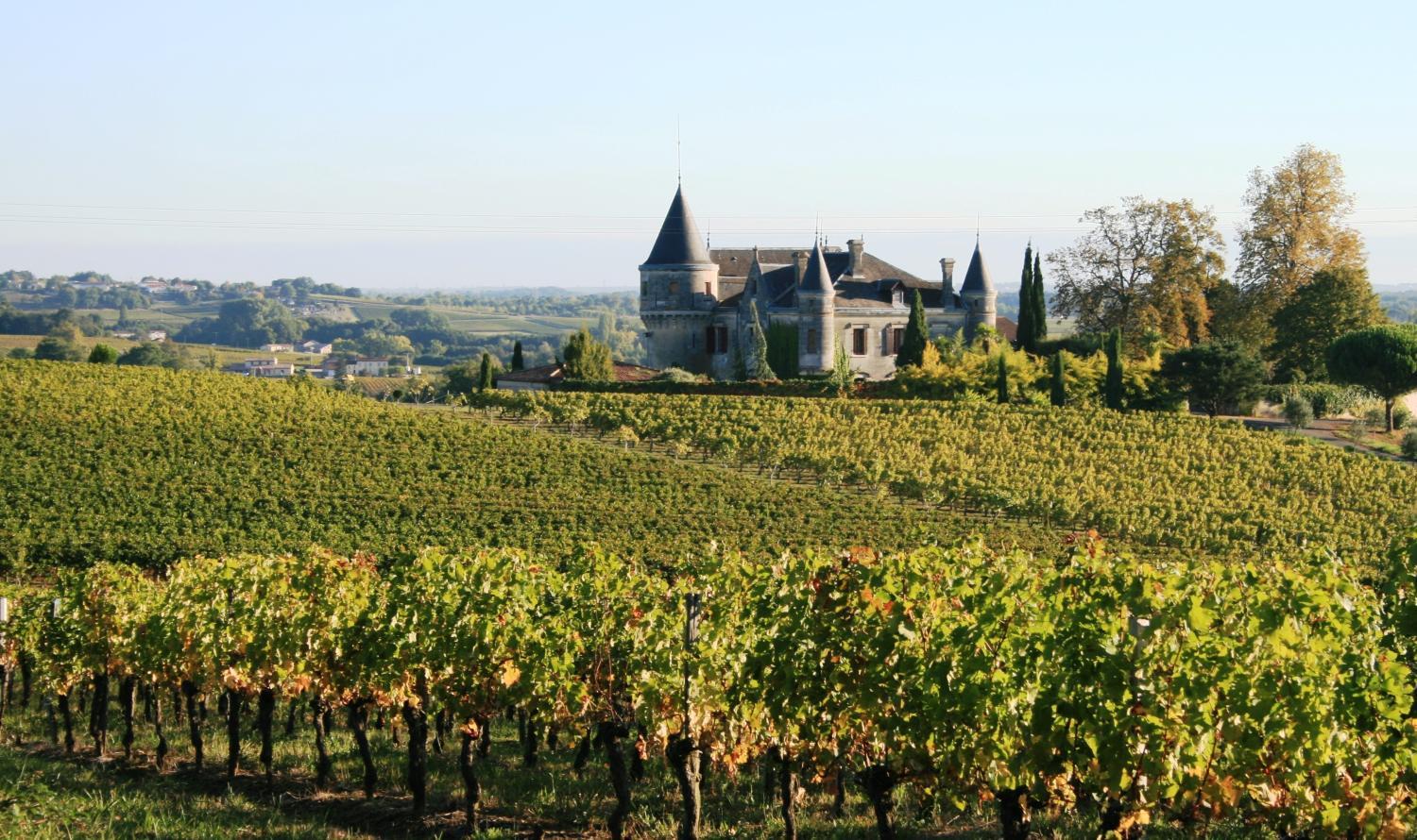 Hotel with winery - Chateau de la Grave