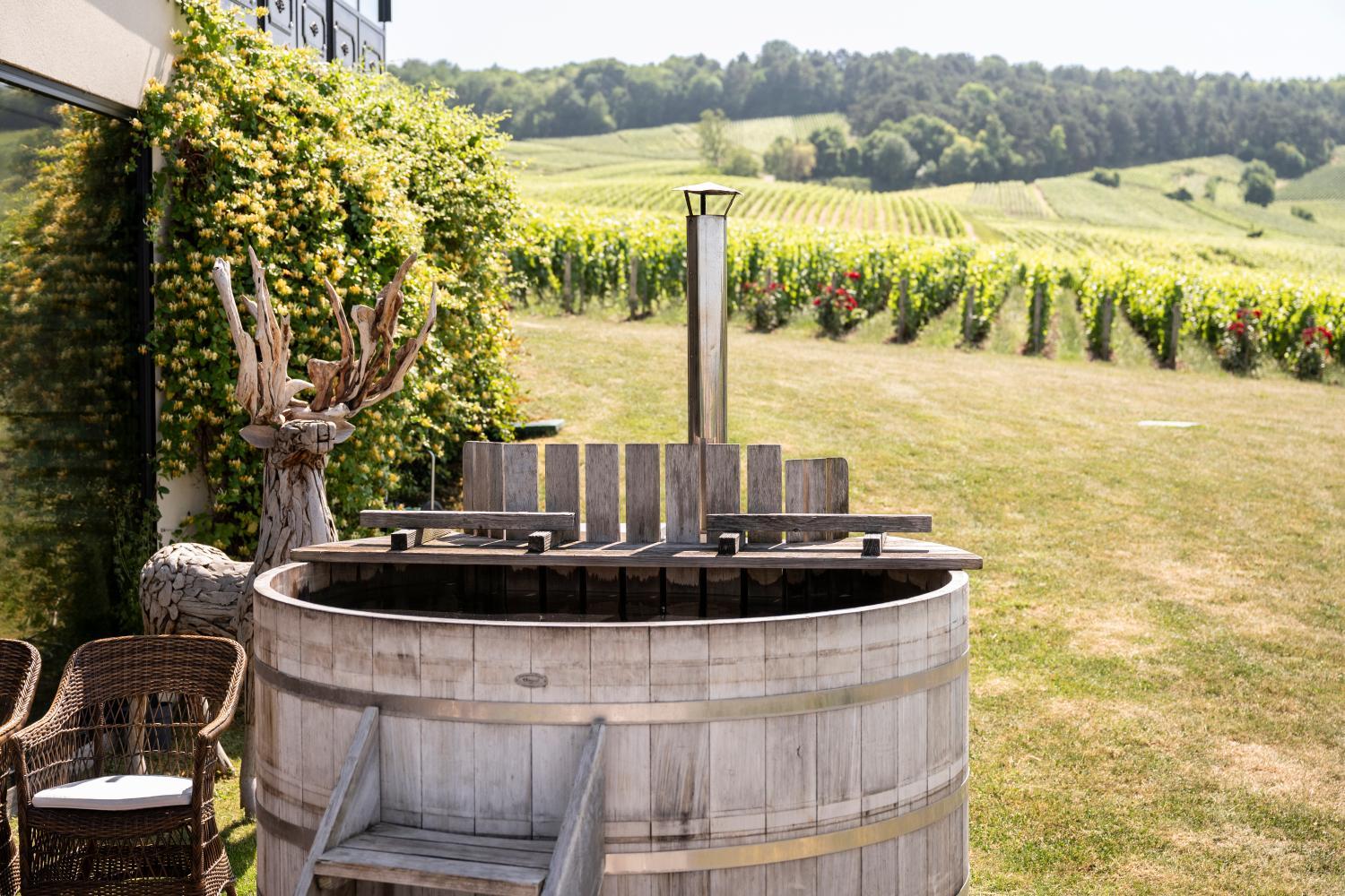 Winery Hotel - Chateau de Sacy3