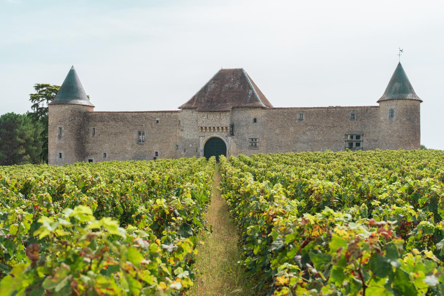 Chateau Eck photo 1