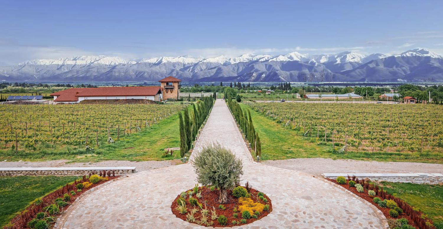 Winery Hotel - Château Mosmieri Hotel & Winery1