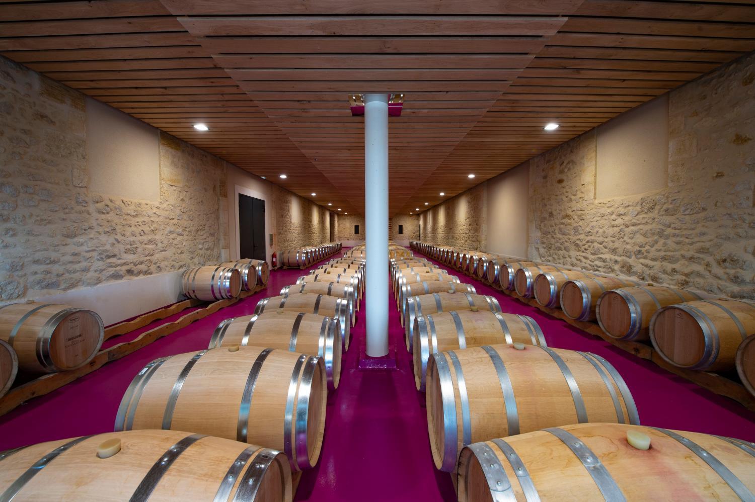 Château Tour Saint photo 3