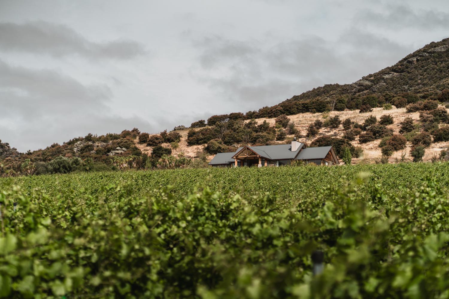 Winery Hotel - Chinamans Ridge on Chinamans Terrace4