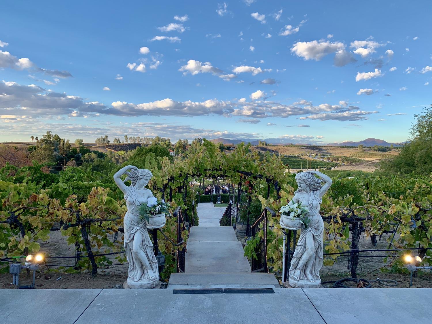 Hotel with winery - Churon Inn Winery