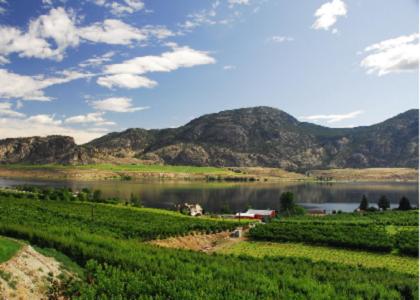 Hotel with winery - Ciliegia Villa
