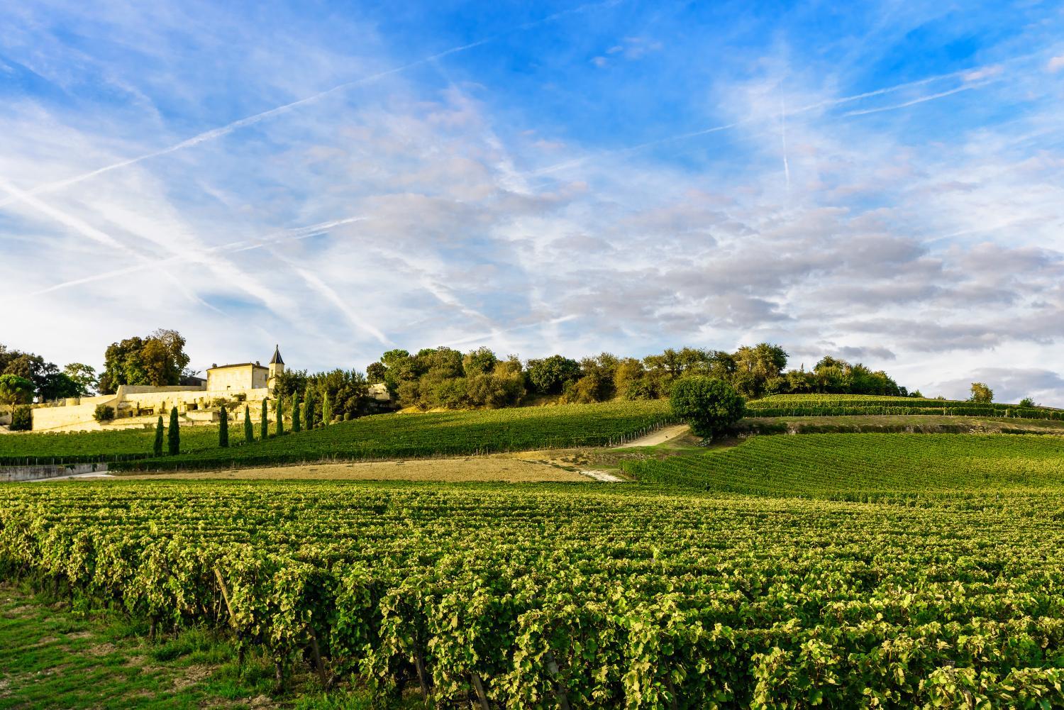 Hotel with winery - Clos 1906