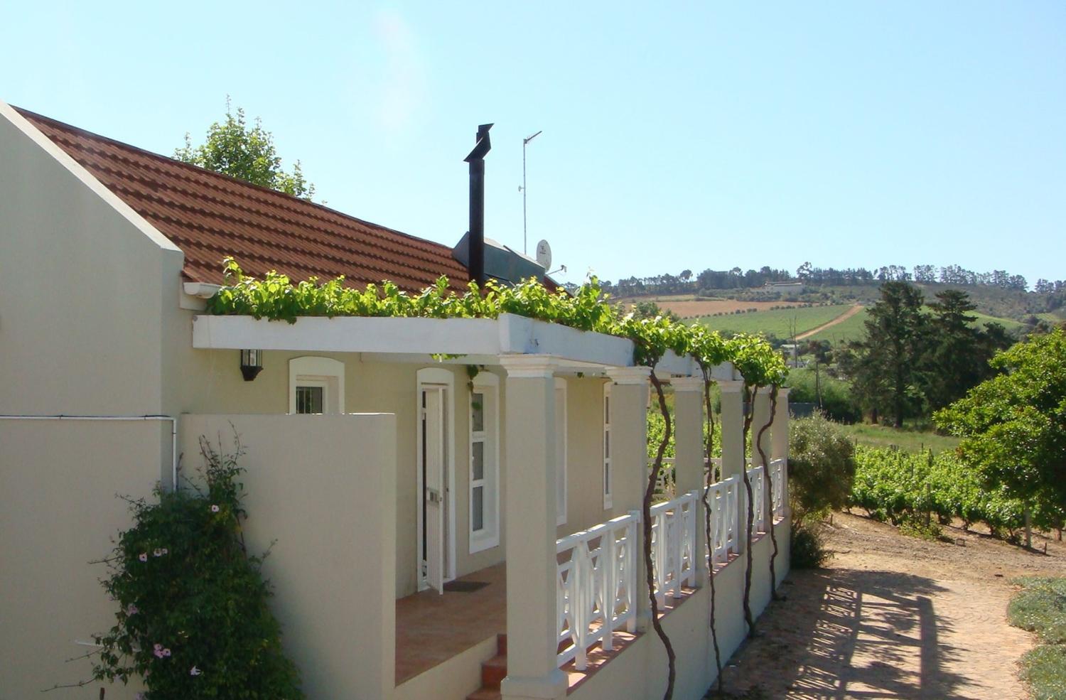 Clos Malverne Wine Estate photo 3