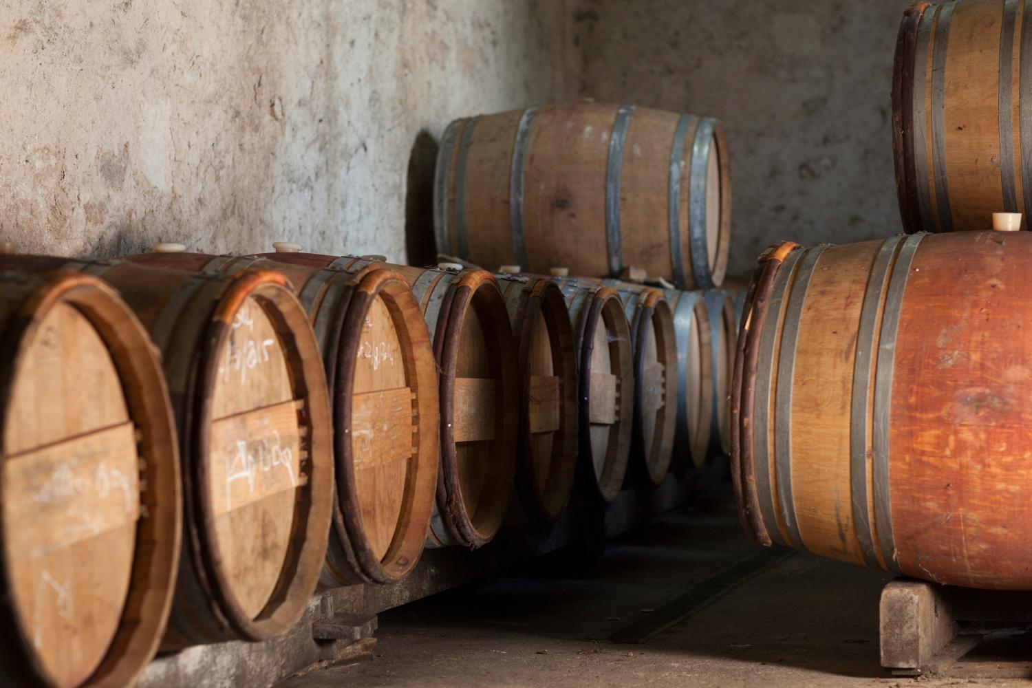 Winery Hotel - Clos Vieux Rochers Vineyard2