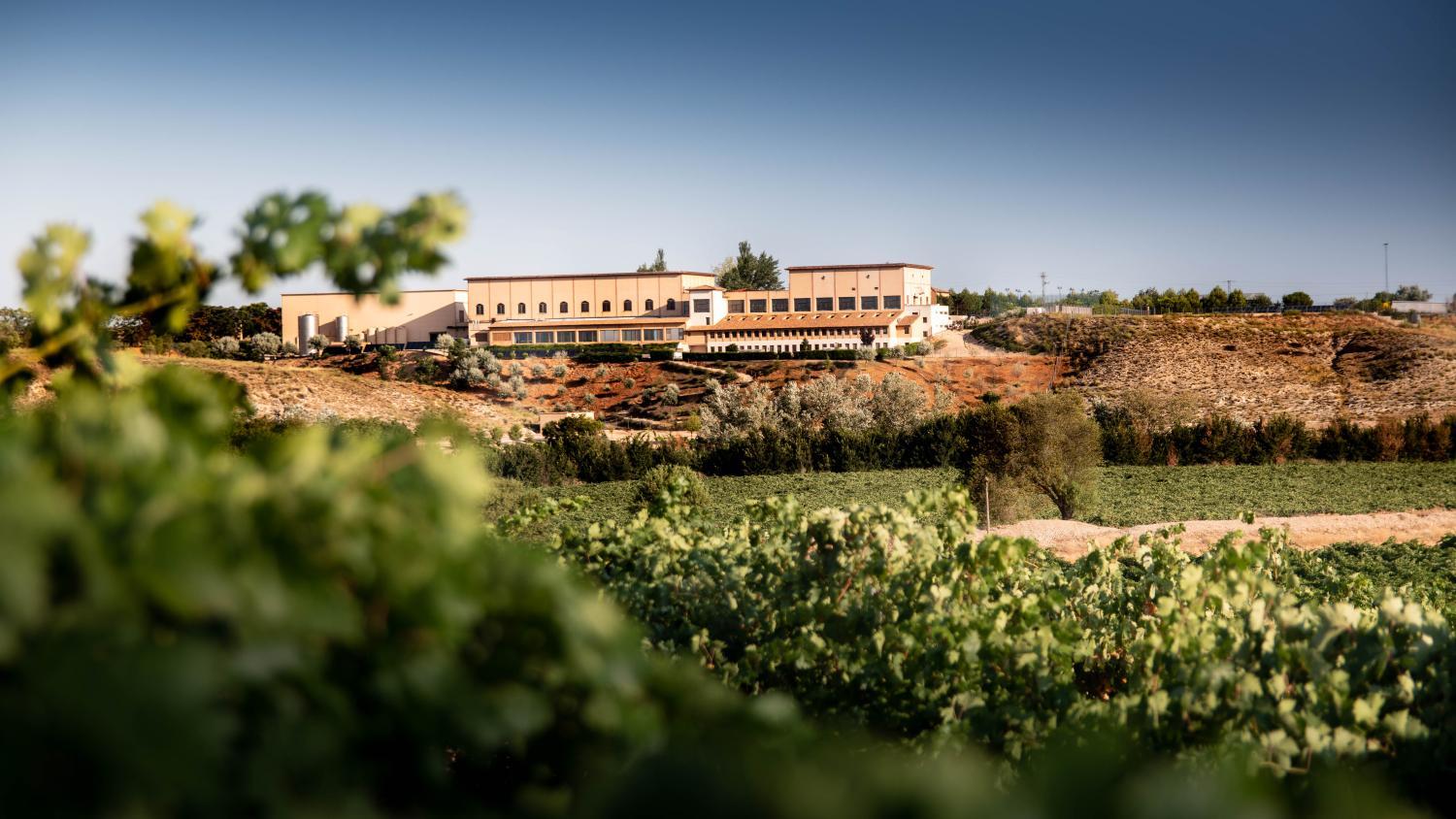 Winery Hotel - Complejo Enoturístico Finca La Estacada1