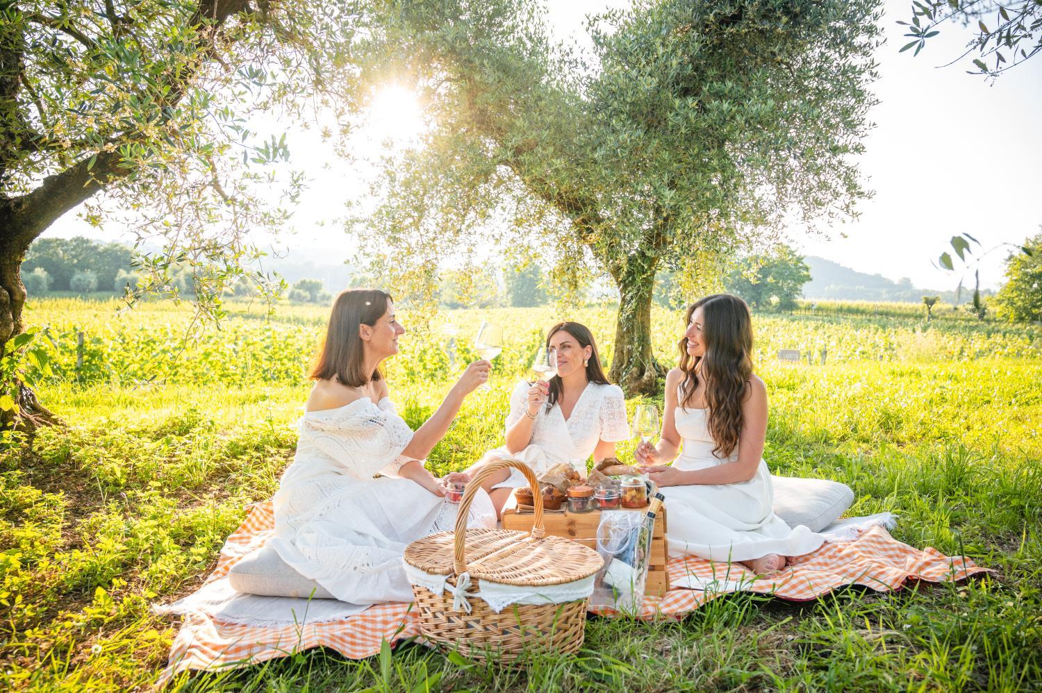 Winery Hotel - Conti Thun Wine Resort4