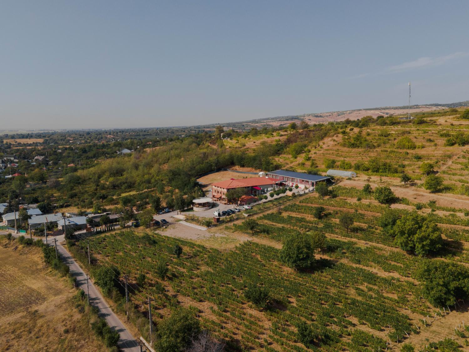 Crama de Piatra Winery Hotel photo 2