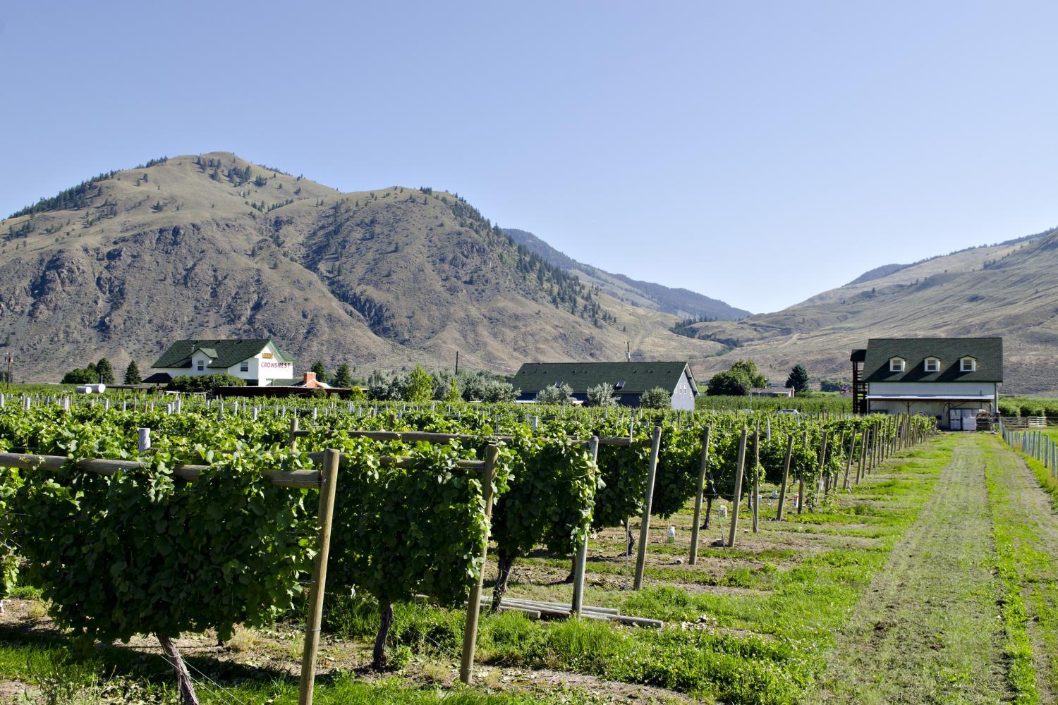 Hotel with winery - Crowsnest Vineyards Guesthouse