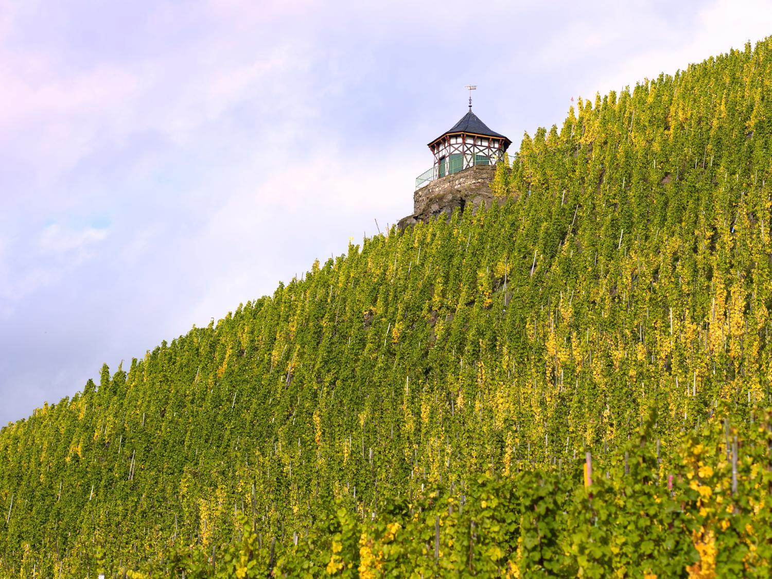 Winery Hotel - DEINHARD's3