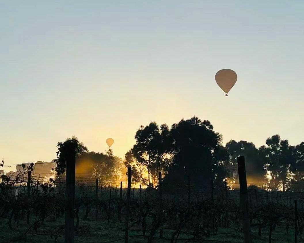 Hotel with winery - De'Vine Escape