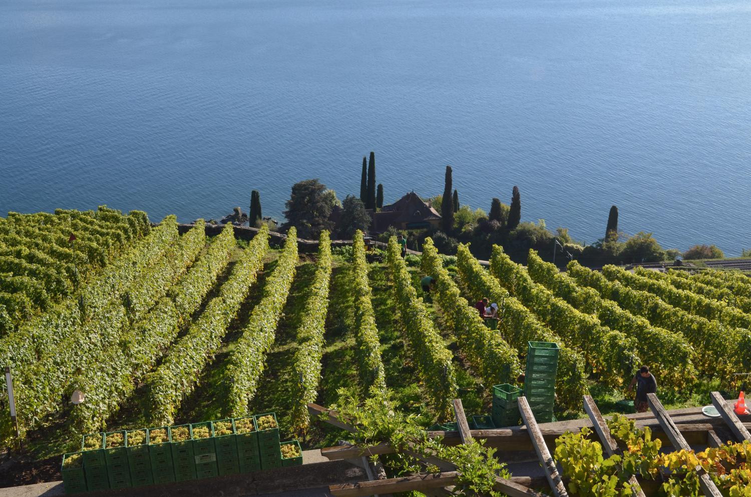 Winery Hotel - Domaine du Burignon3