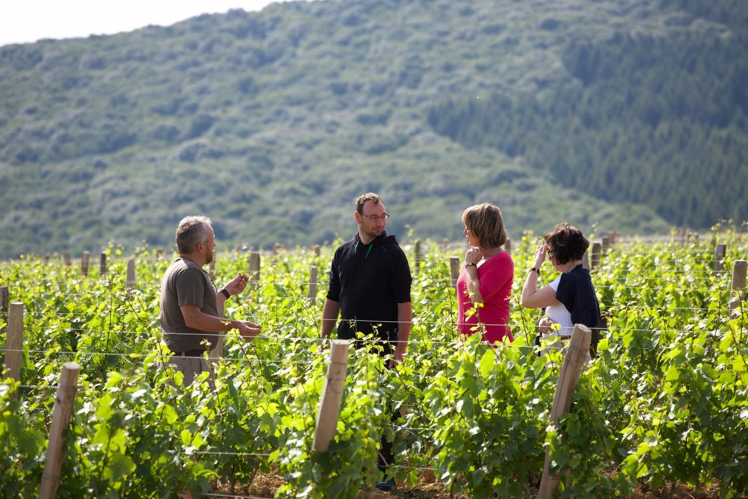 Hotel with winery - Domaine Joseph LAFARGE Wine Resort B&B