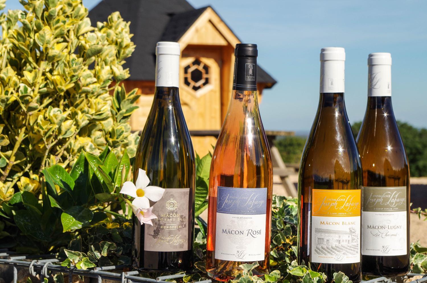 Winery Hotel - Domaine Joseph LAFARGE Wine Resort B&B4