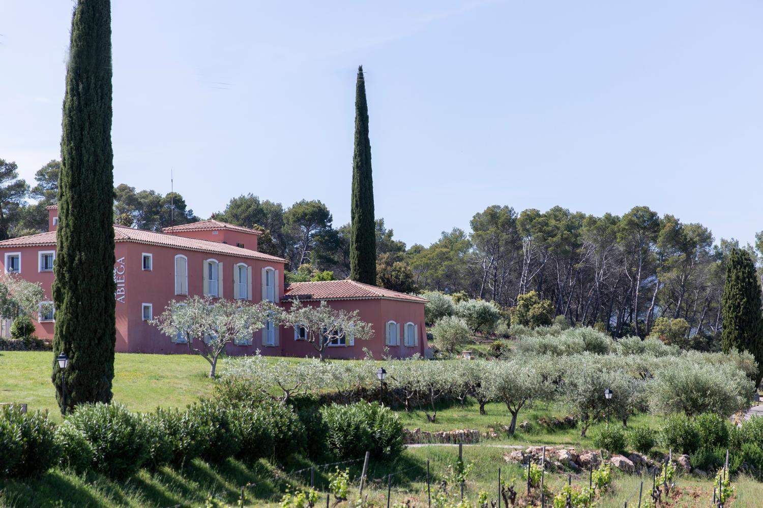 Winery Hotel - Domaine Rabiega - Vineyard and Boutique hotel3