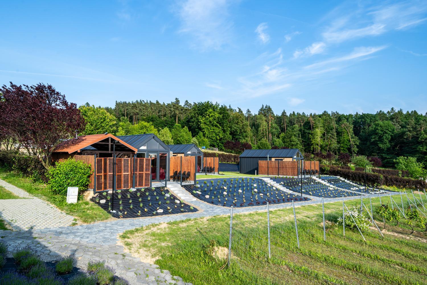 Hotel with winery - Domki Winne Tarasy