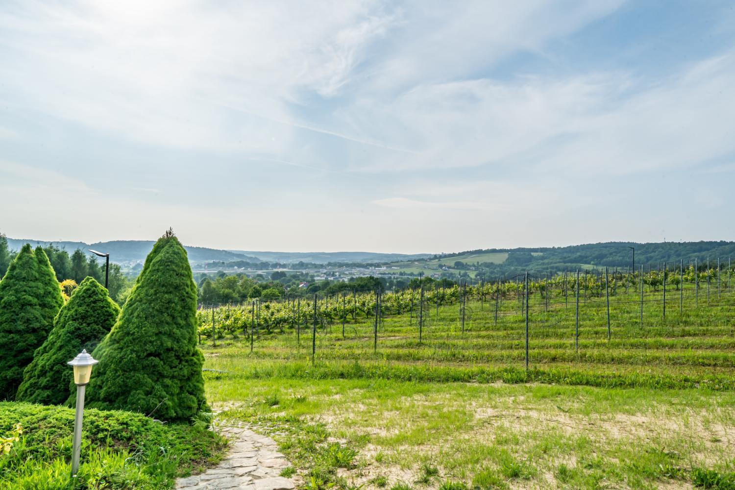 Winery Hotel - Domki Winne Tarasy3