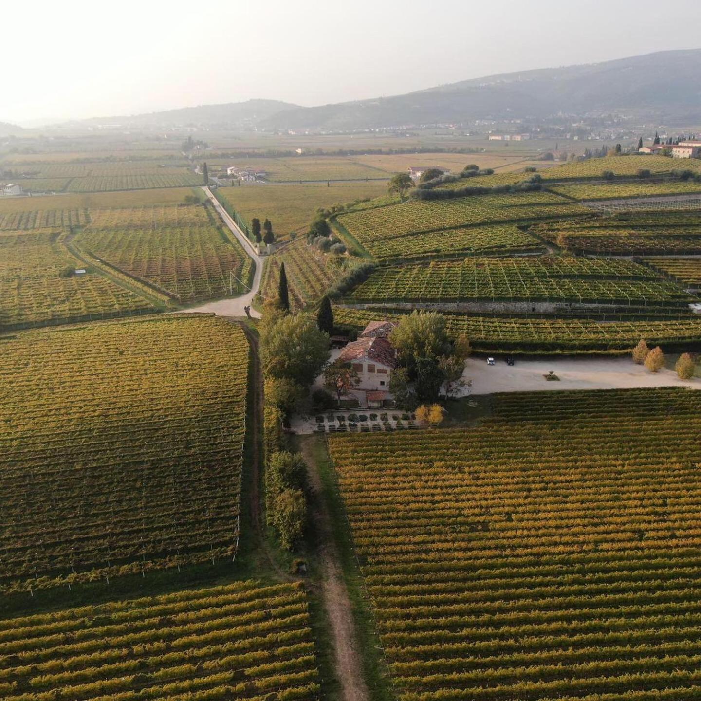 Domus Cariana photo 2