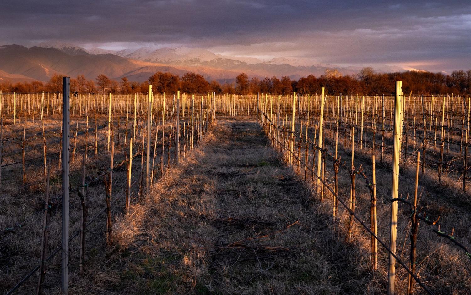 Winery Hotel - Eclipse Winery Boutique Hotel3