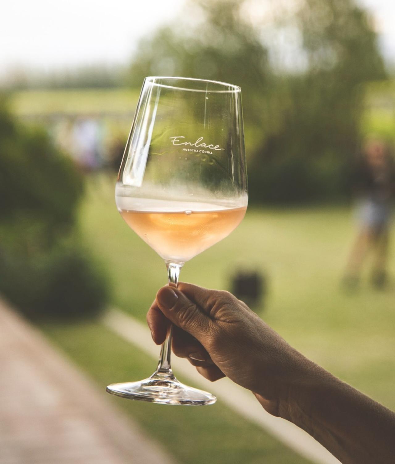 Winery Hotel - Enlace Wine House2