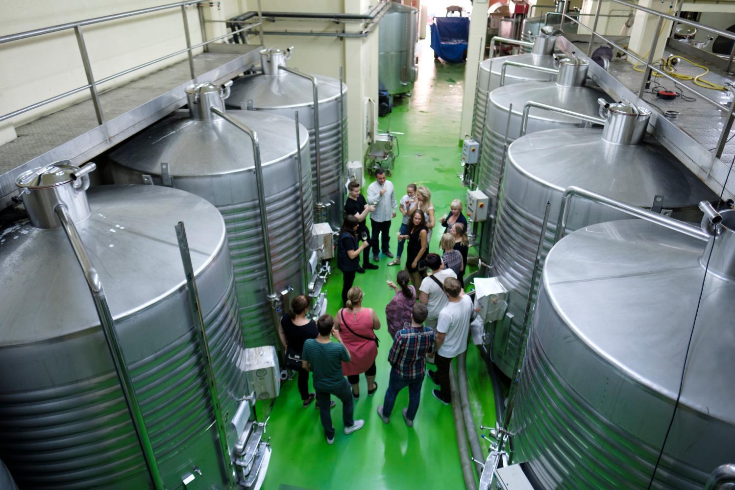 Winery Hotel - Enoturismo Celler Piñol3