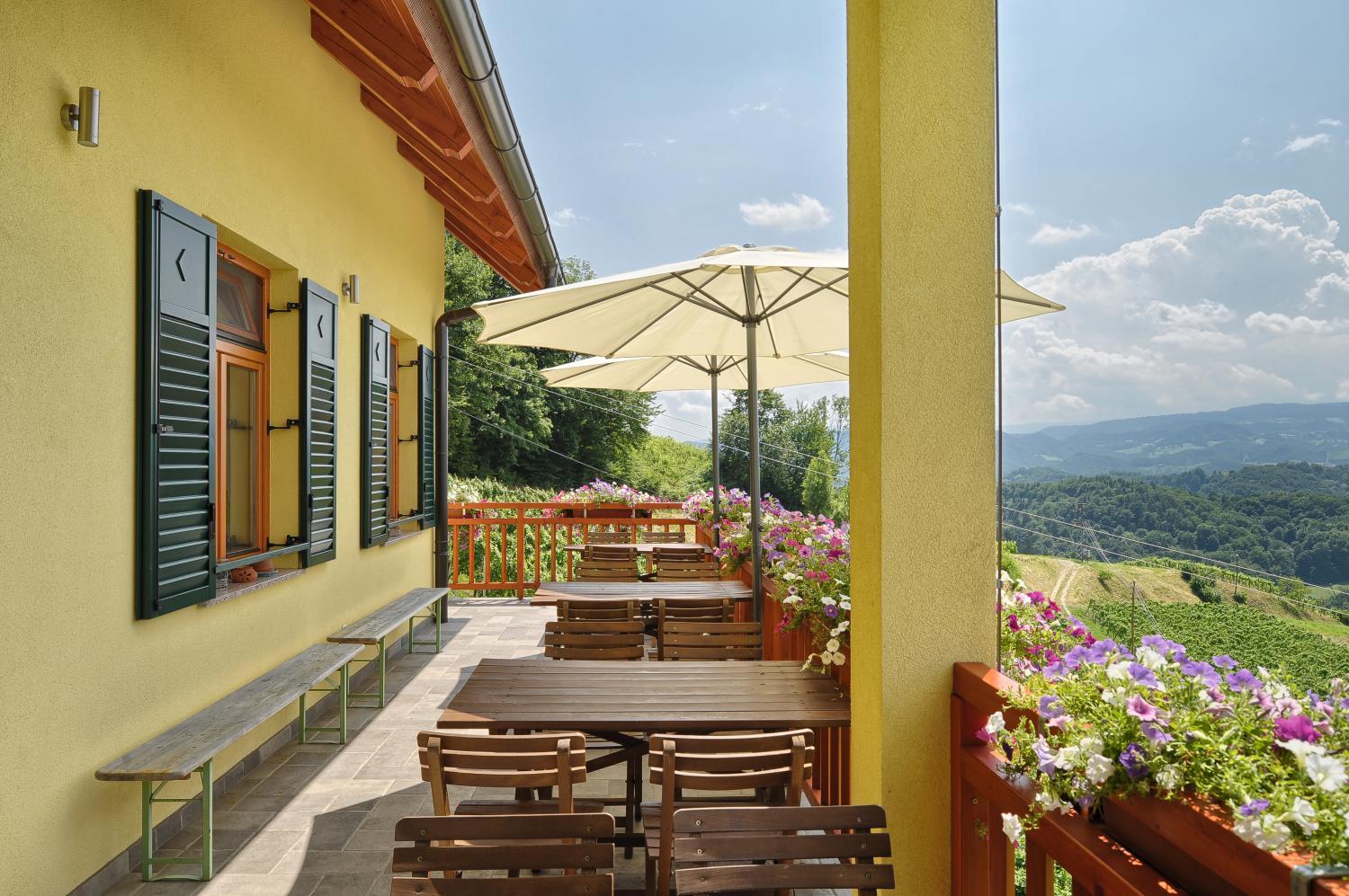 Winery Hotel - Farm Stay Jarc Vineyard2