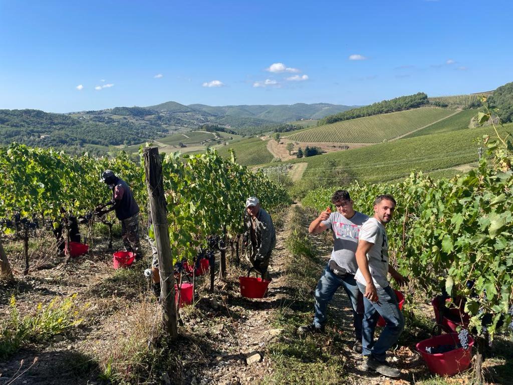 Hotel with winery - Fattoria Poggerino