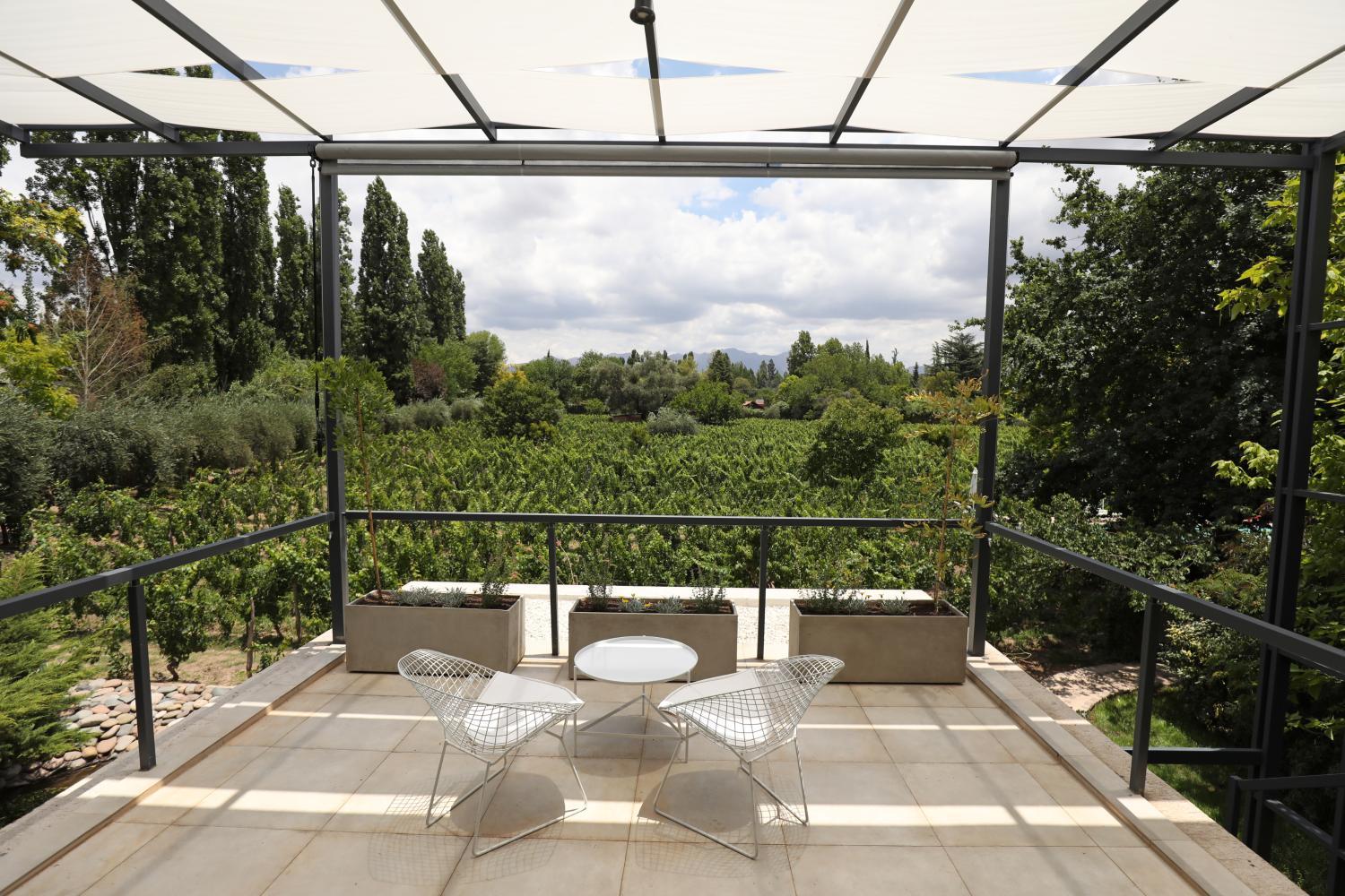 Finca Adalgisa Wine Hotel Mendoza photo 4