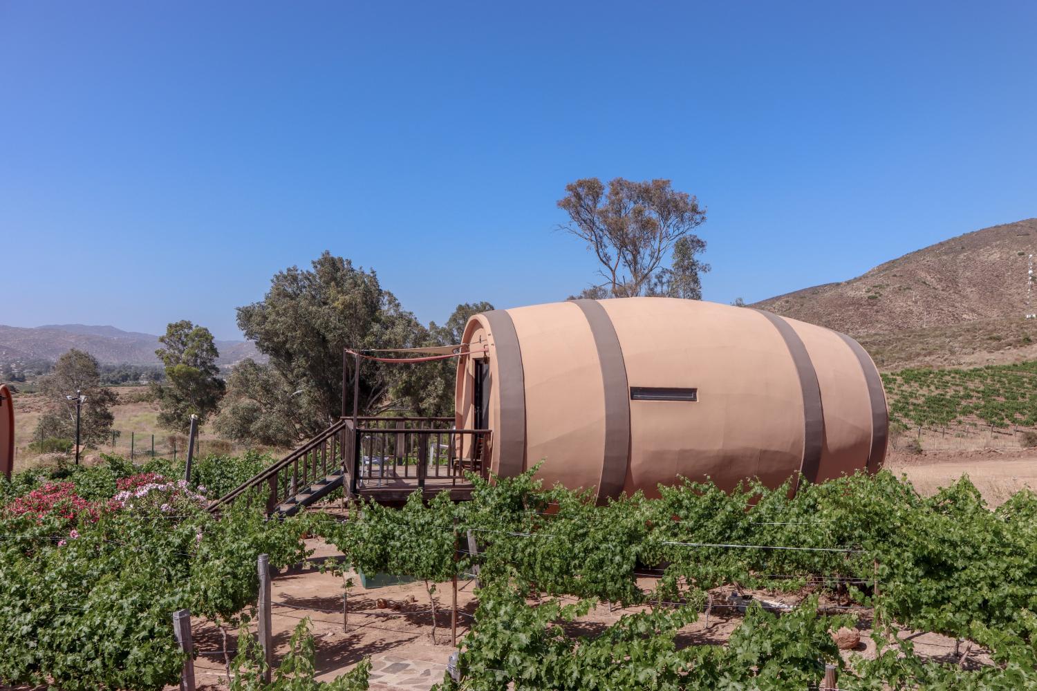 Winery Hotel - Finca el Mirador2