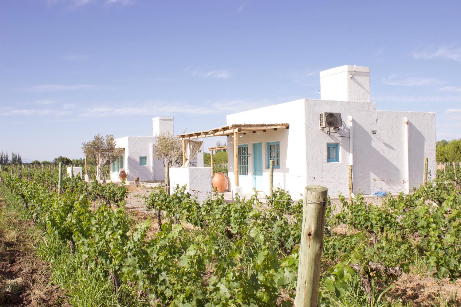 Hotel with winery - Finca Rosablanca