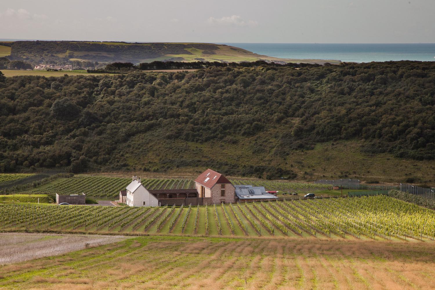 Hotel with winery - Flint Barns, Rathfinny Wine Estate