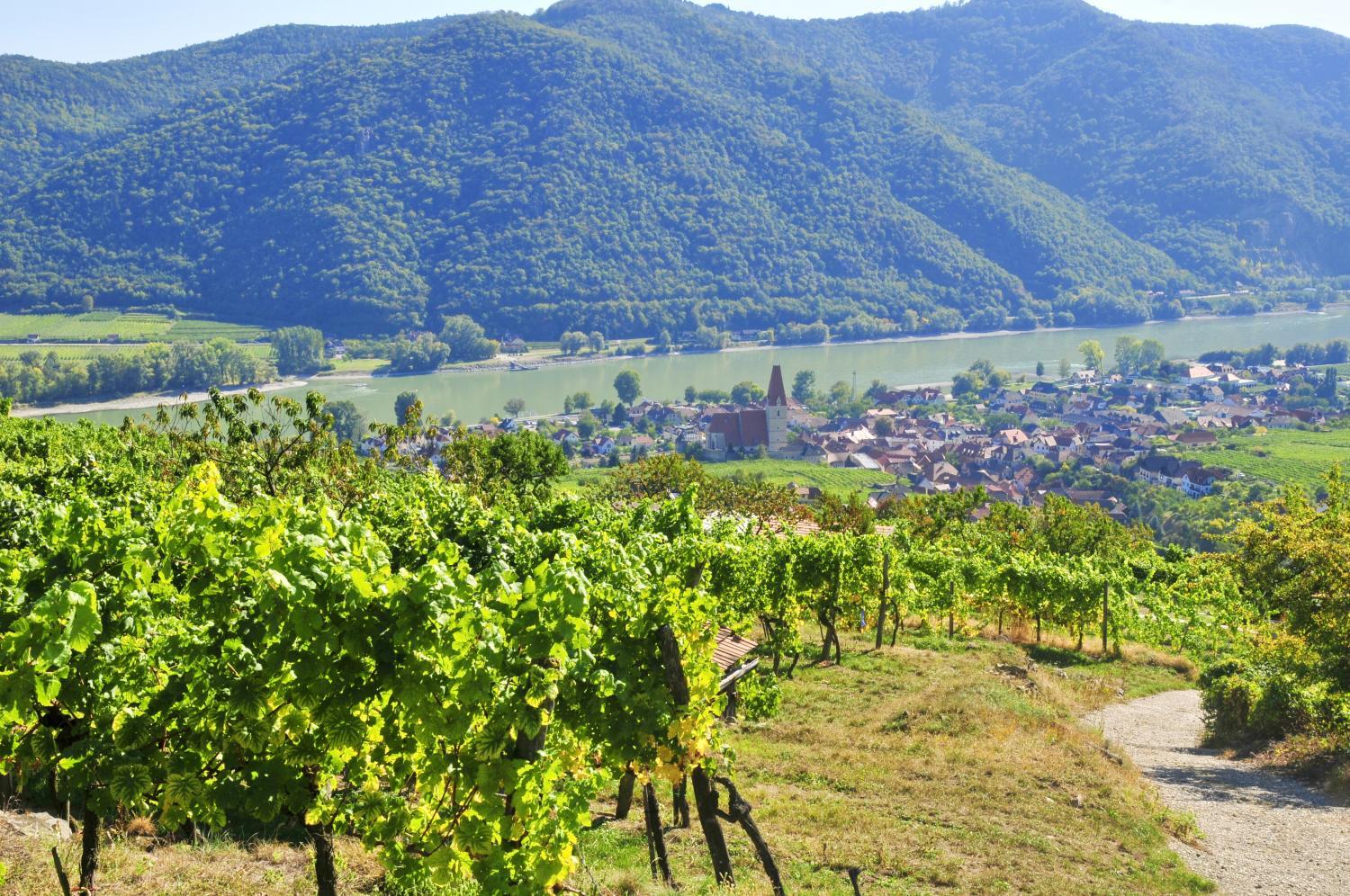 Gästehaus Turm Wachau photo 4