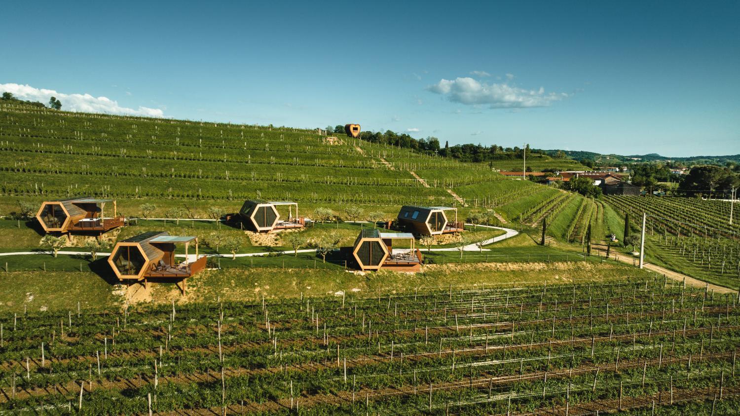 Winery Hotel - Glamping Alvearium Alturis3