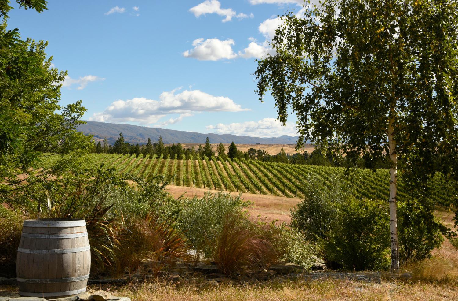 Hotel with winery - Grey Ridge Vineyard Experience