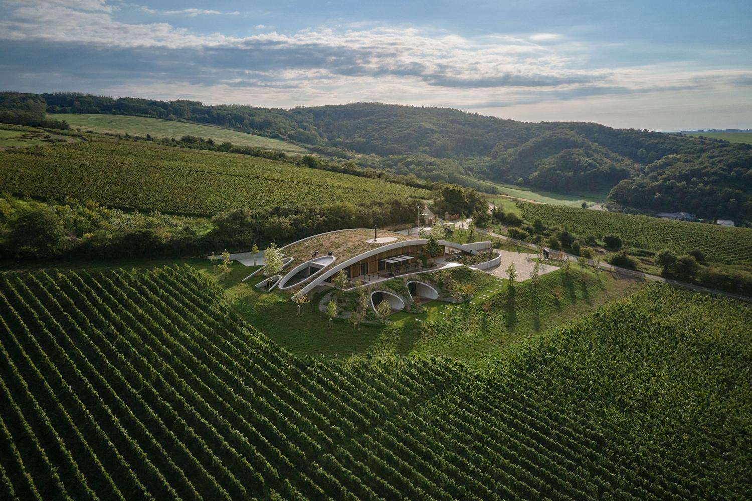 Hotel with winery - Gurdau vinařství