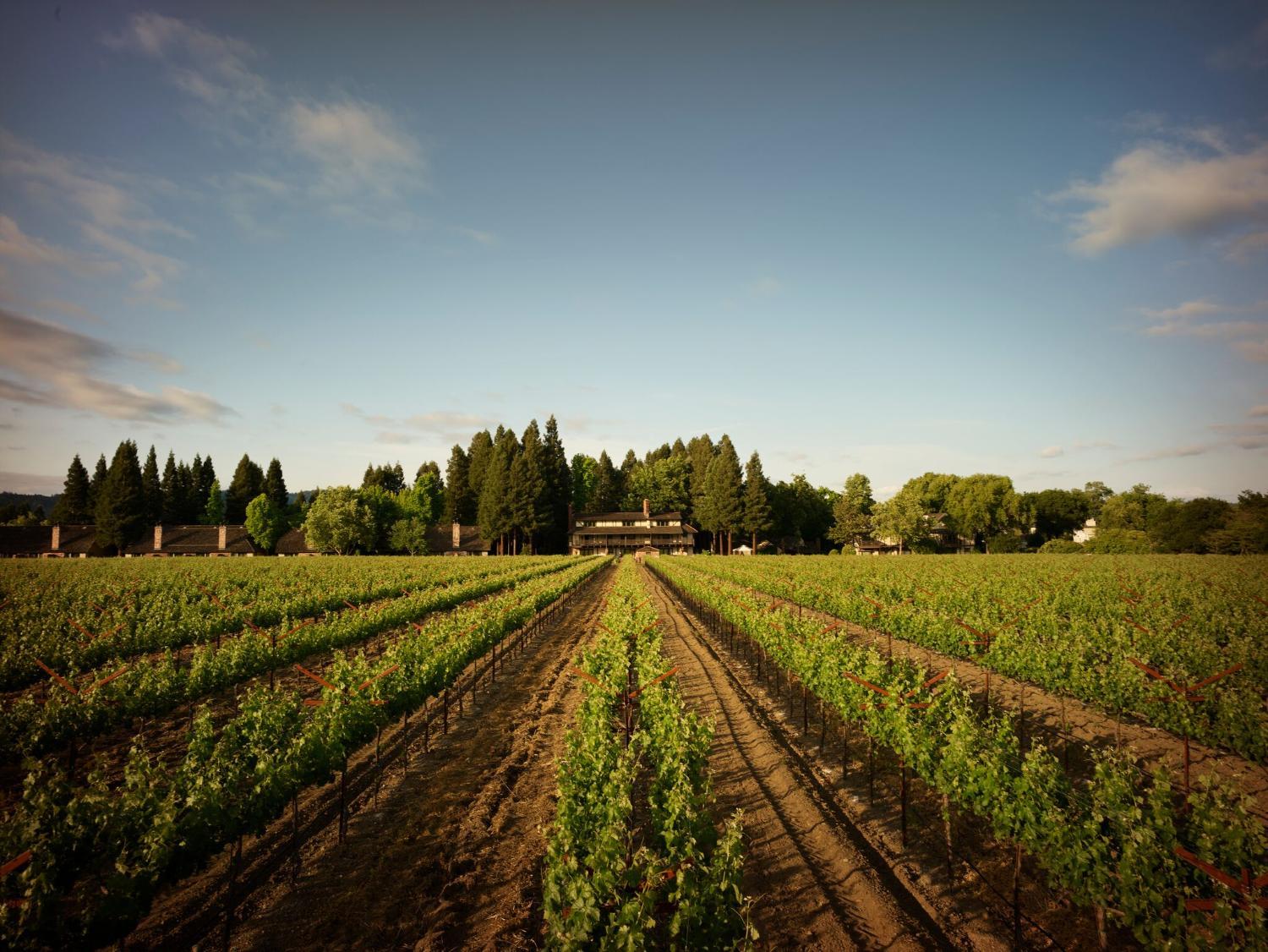Hotel with winery - Harvest Inn