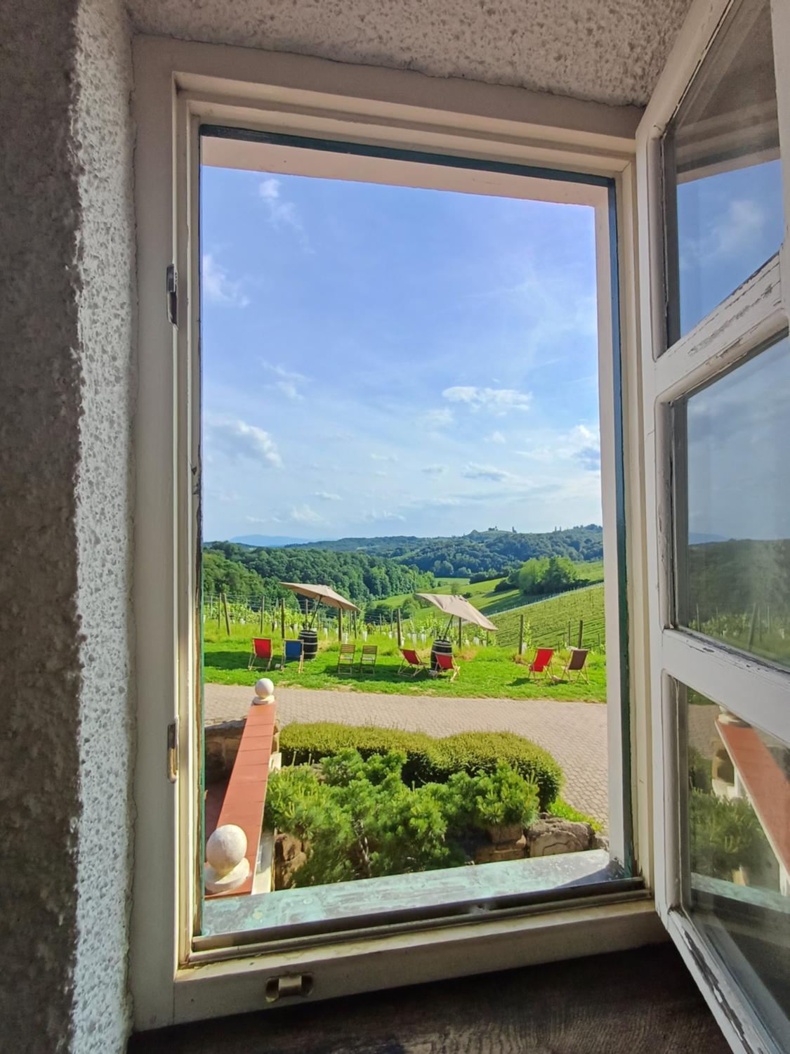 Herga Wine Estate photo 1