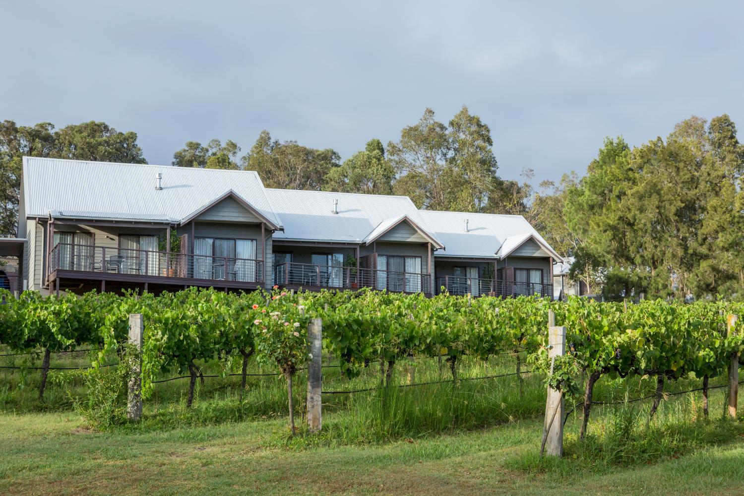 Hotel with winery - Hermitage Lodge