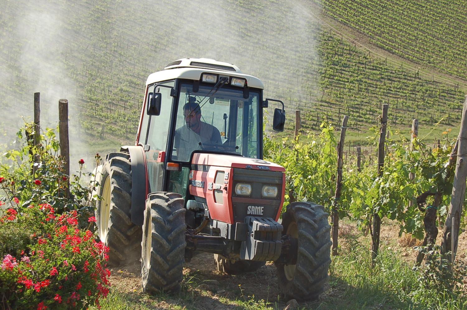 Winery Hotel - Hotel Belvedere Di San Leonino4