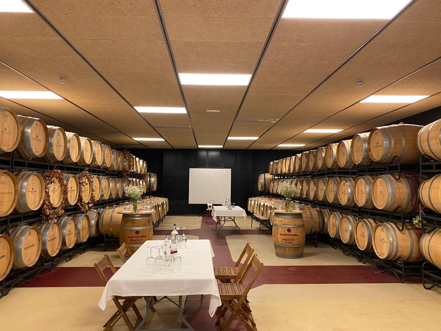 Winery Hotel - Hotel-Bodega Finca de Los Arandinos3