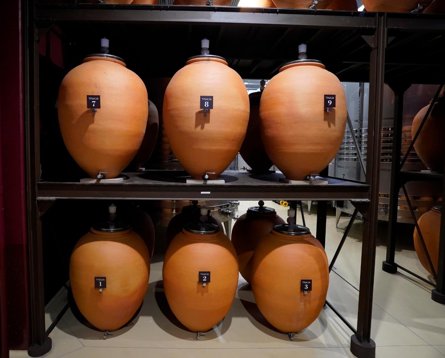 Winery Hotel - Hotel Bodega FyA - GRUPO PIÉROLA2