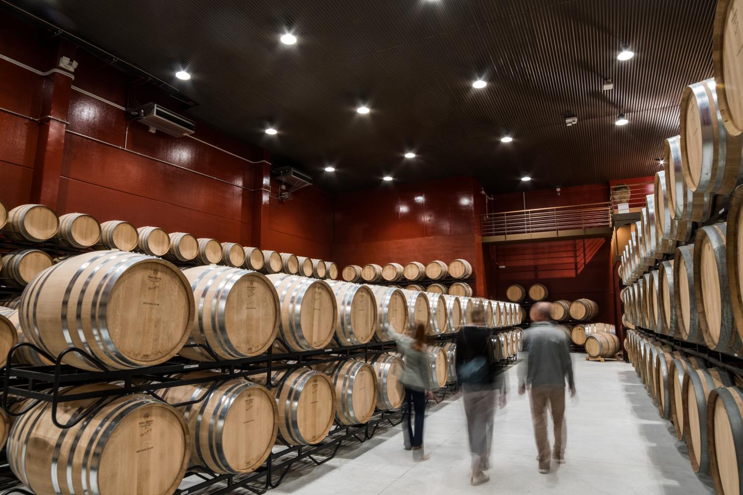 Winery Hotel - Hotel Bodega FyA - GRUPO PIÉROLA3