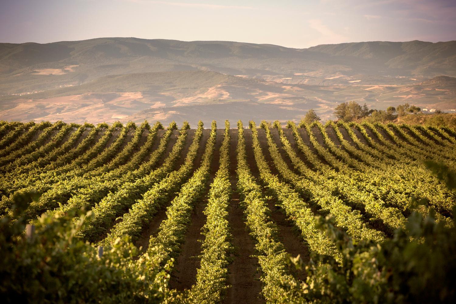 Winery Hotel - Hotel Eguren Ugarte2