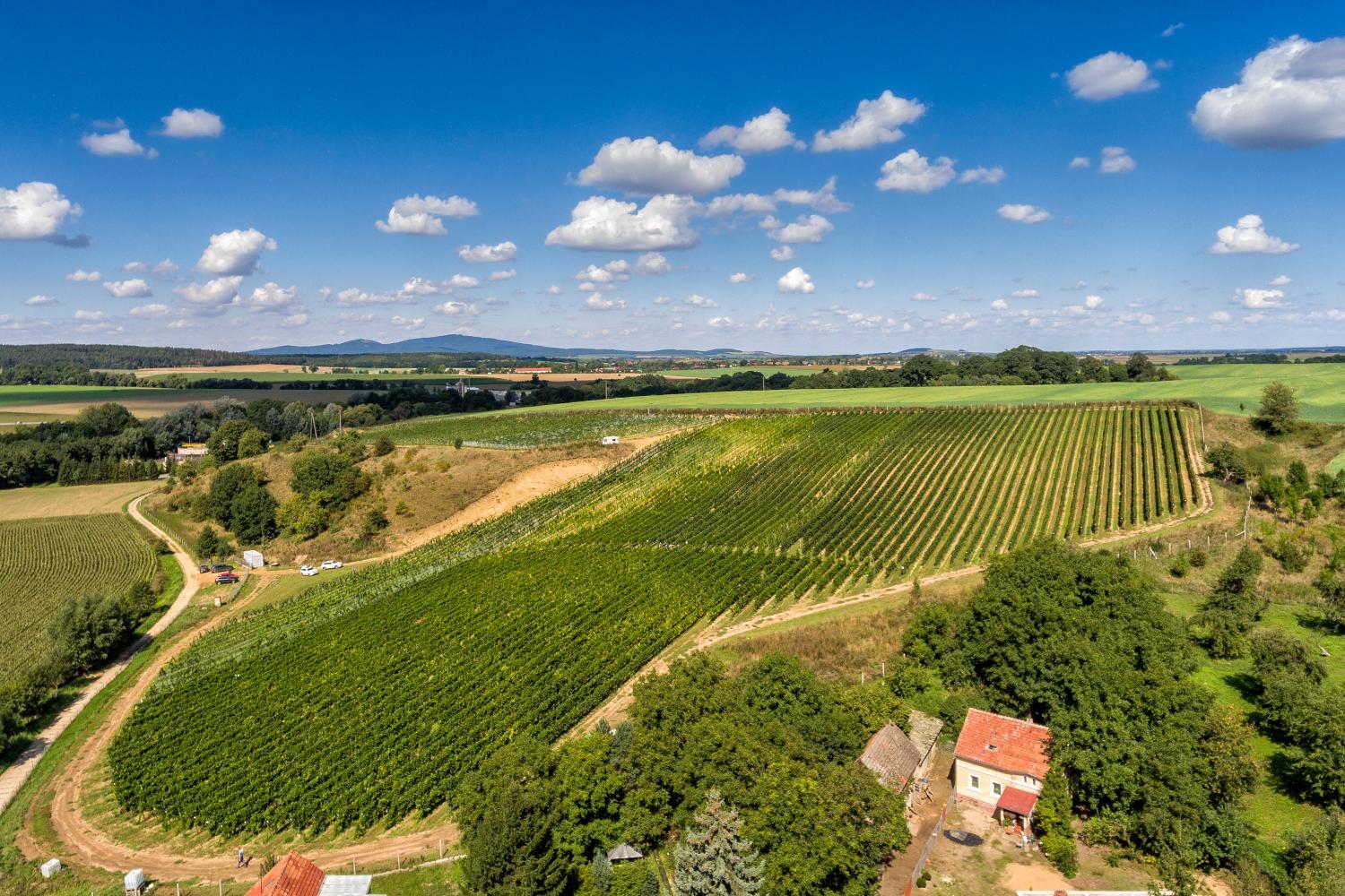 Winery Hotel - Hotel Niemcza Wino & Spa1