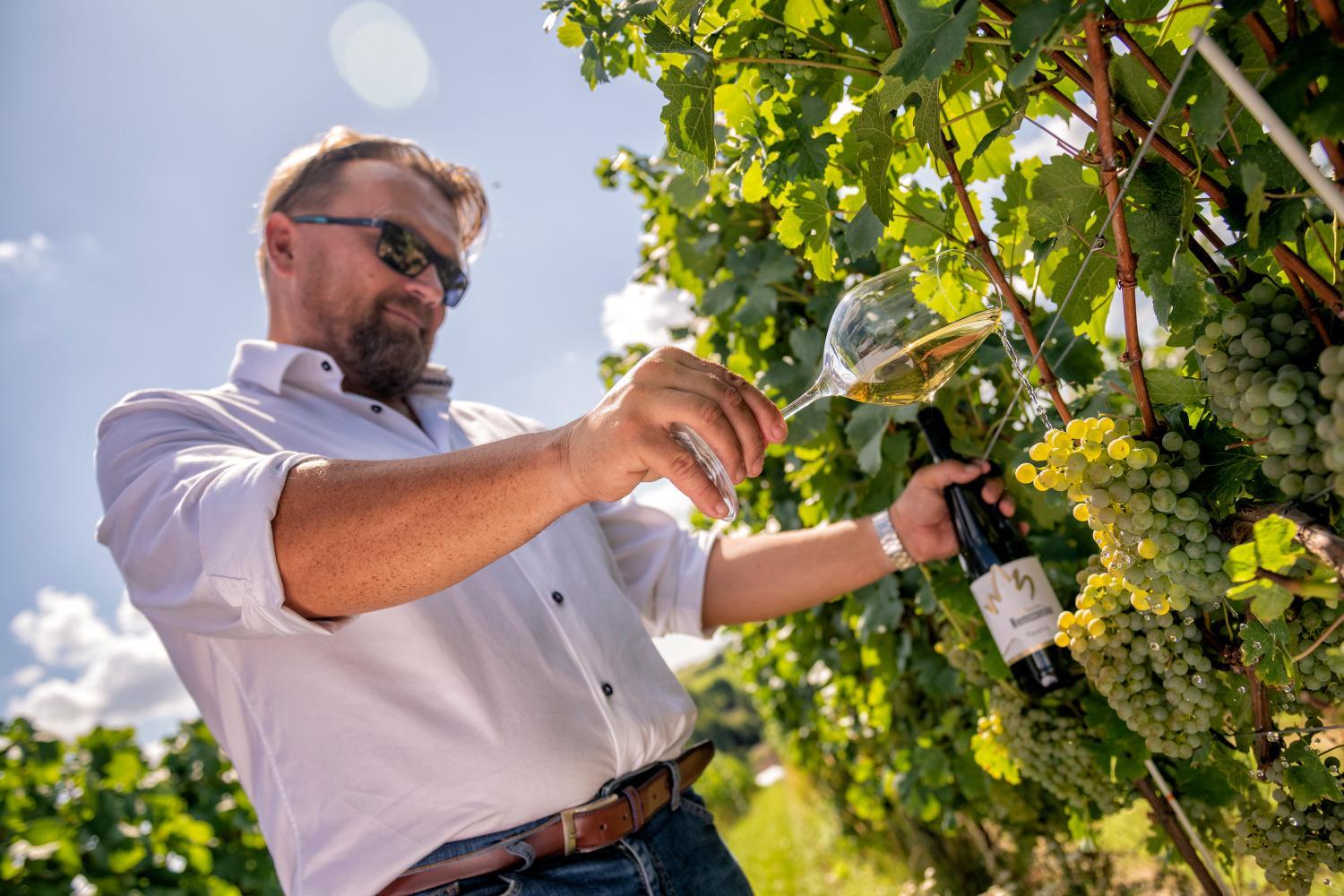 Winery Hotel - Hotel Niemcza Wino & Spa2