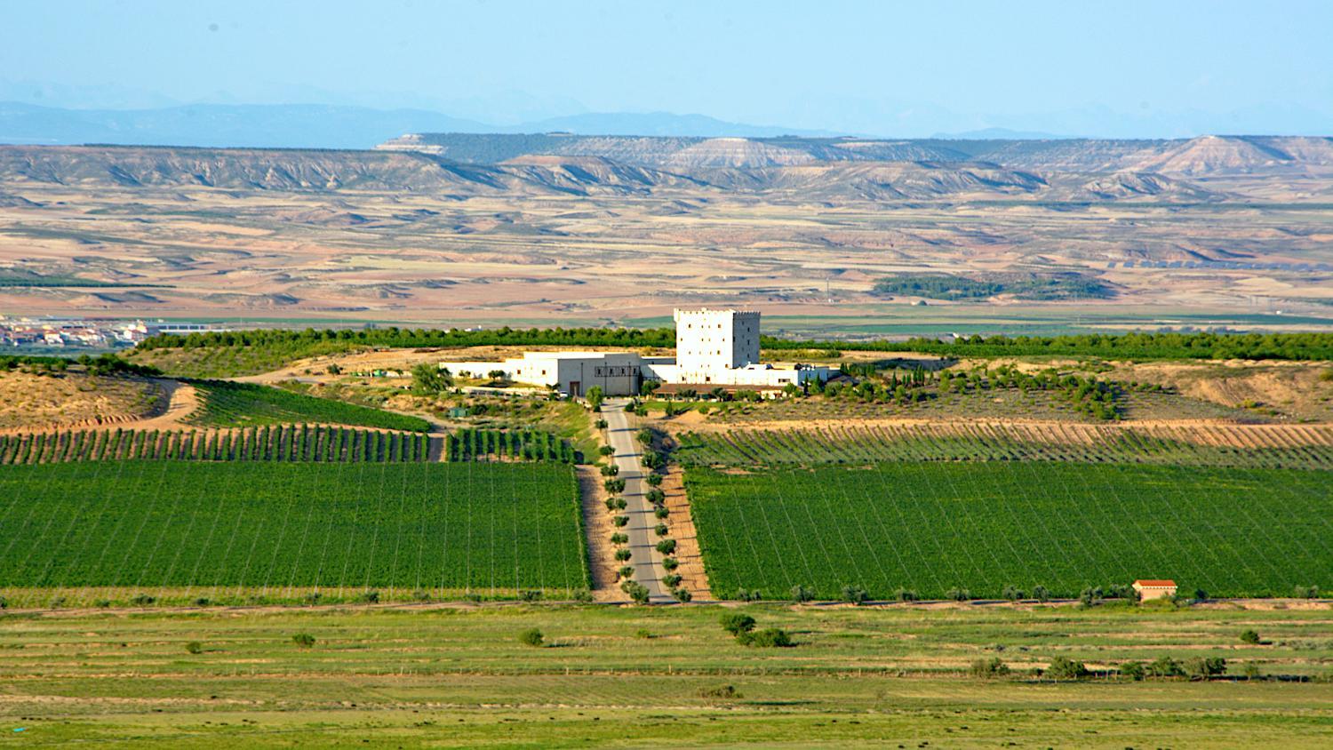 Winery Hotel - Hotel Pago De Cirsus2