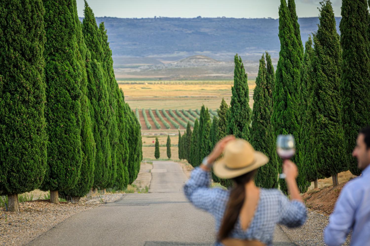 Winery Hotel - Hotel Pago De Cirsus3